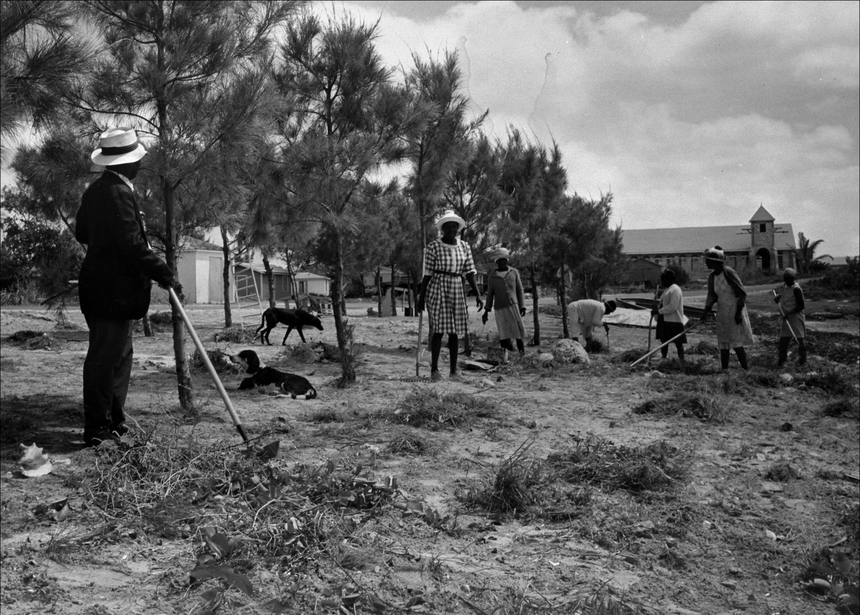 Clearing land near the Anglican Church at High Rock