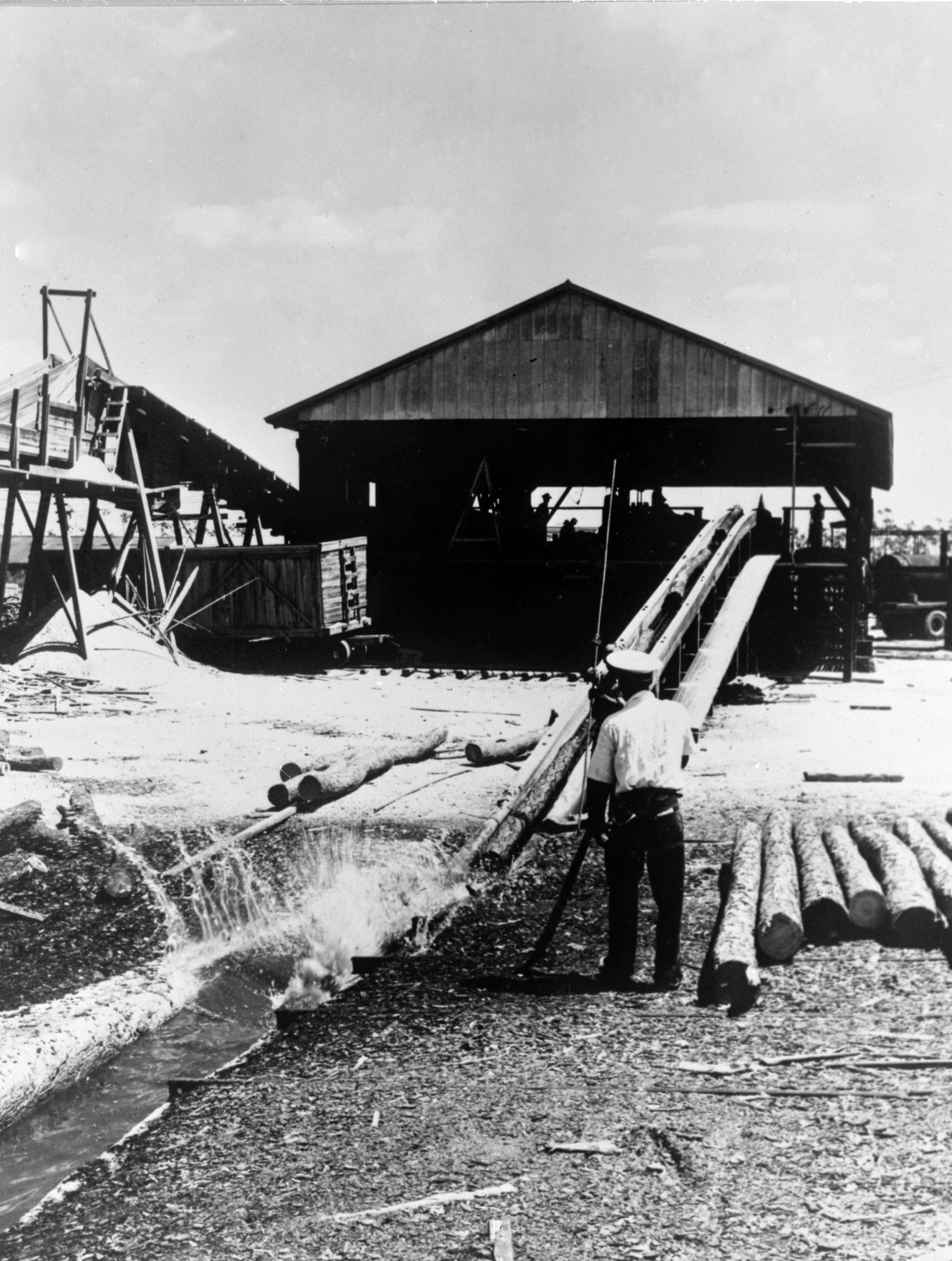 Washing of logs prior to entering mill