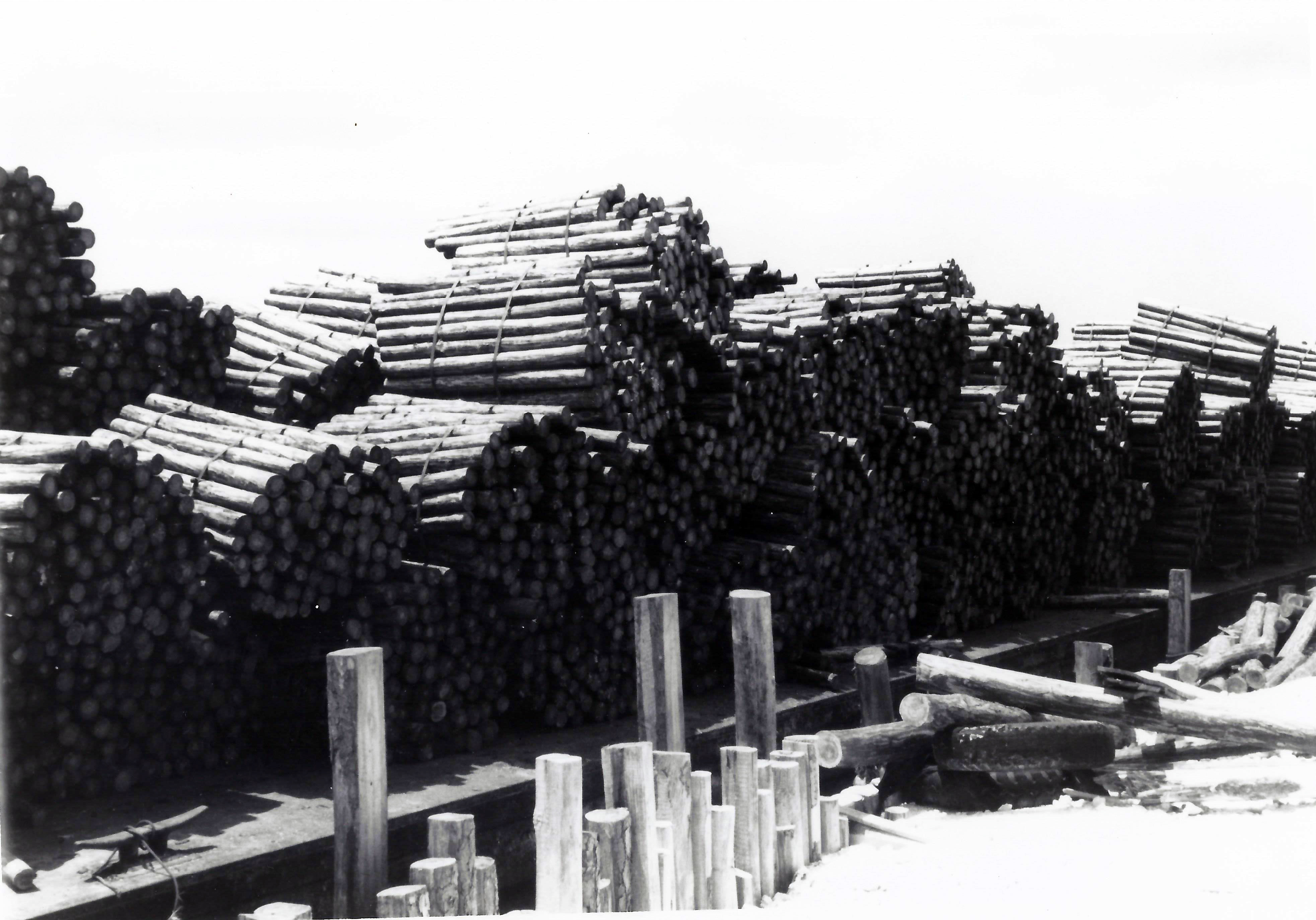 Pine Ridge lumber bundled for shipment, 1950's