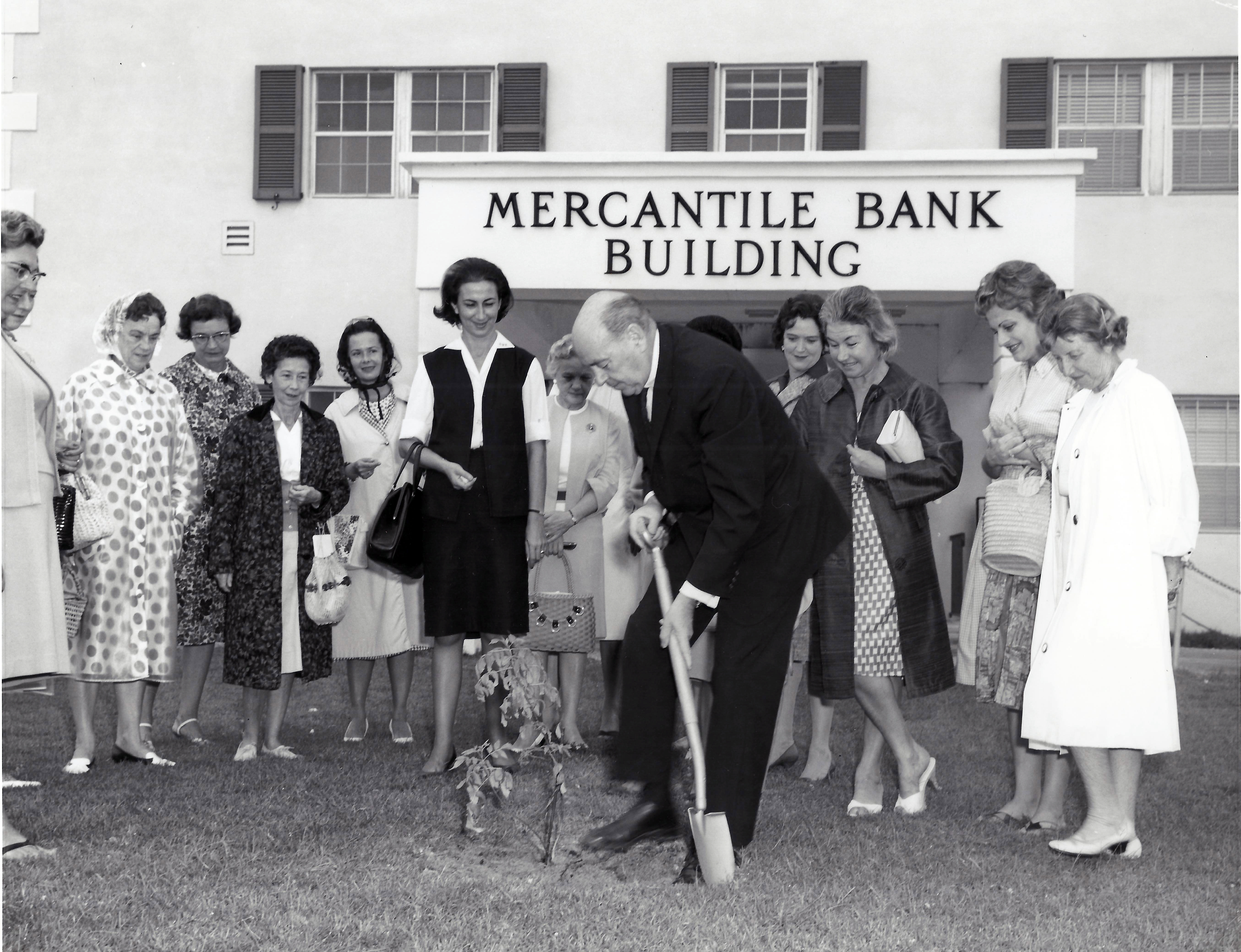 Tree planting by the Freeport Garden Club, 1960's