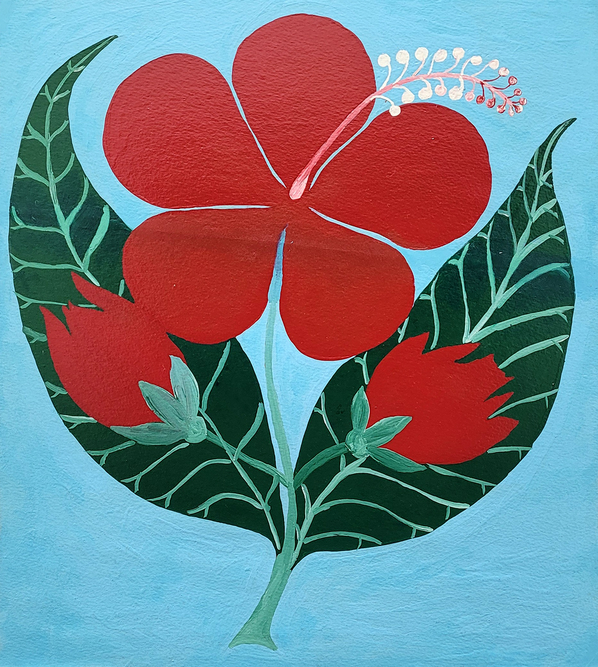 Red Hibiscus - Amos Ferguson