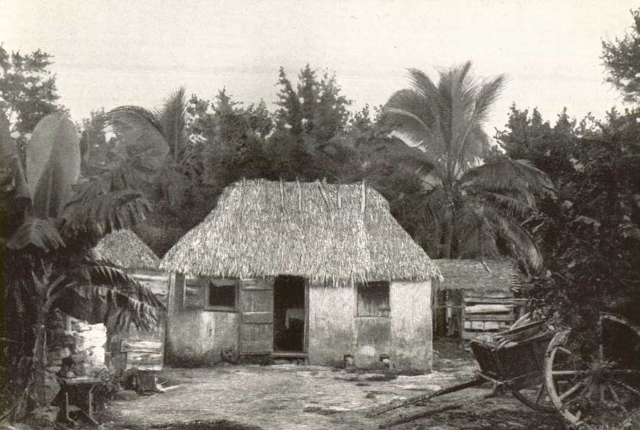Thatched Hut - Nassau Bahamas