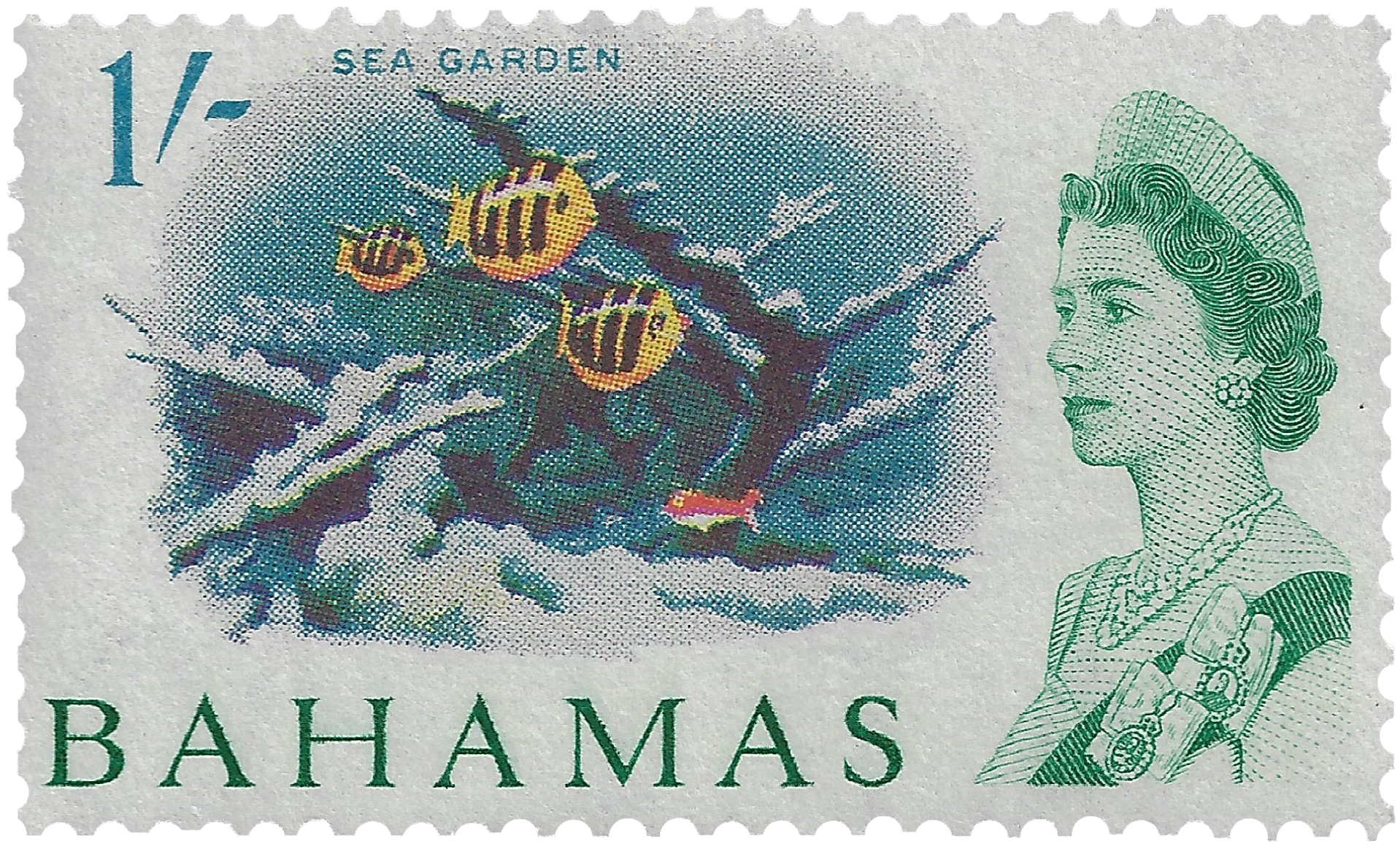 1s 1965, Sea Garden