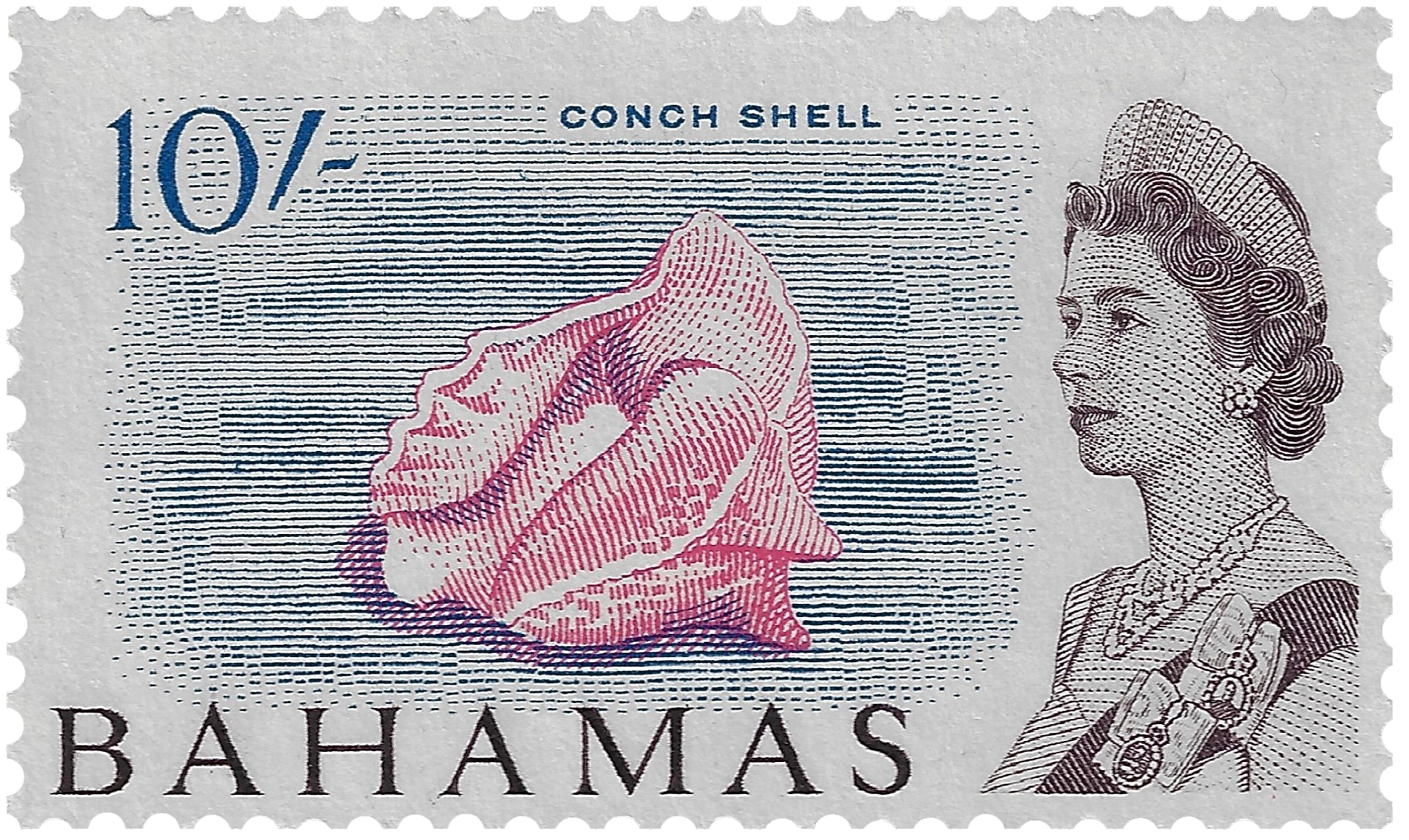 10s 1965, Conch Shell
