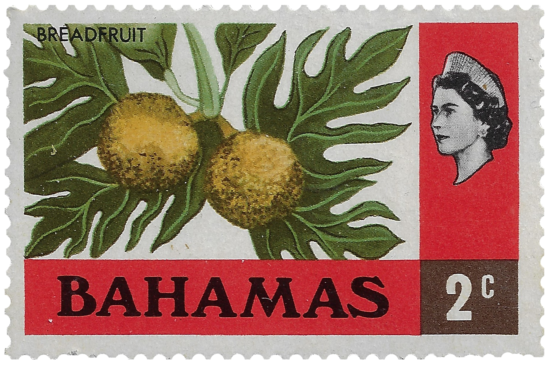2c 1971, Breadfruit