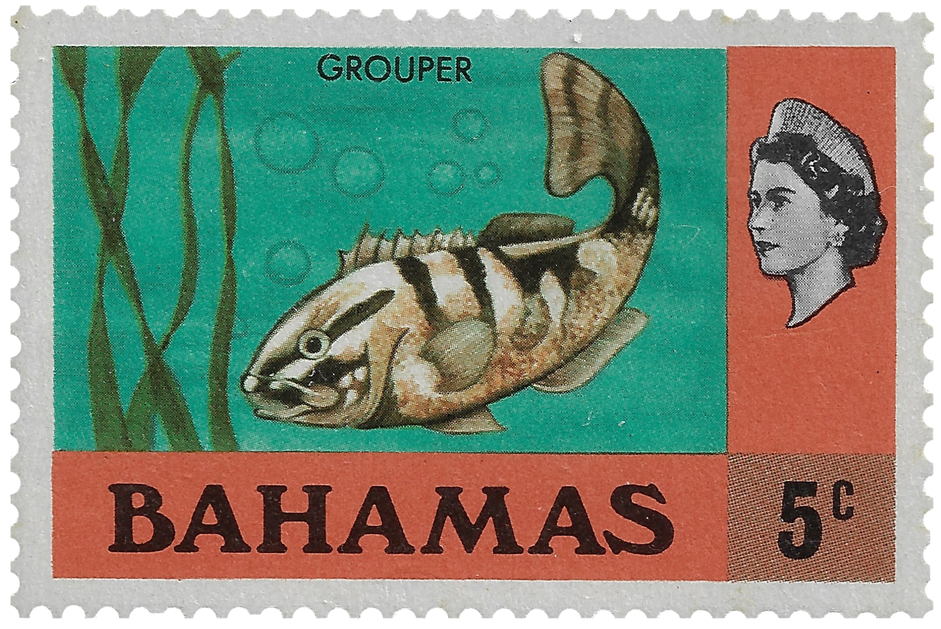 5c 1971, Grouper