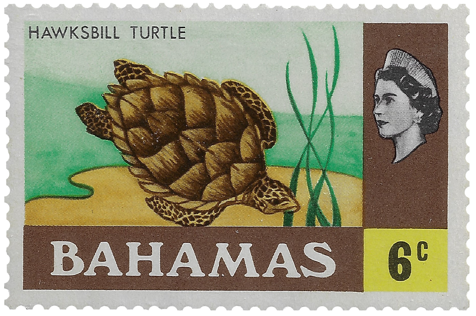 6c 1971, Hawksbill Turtle