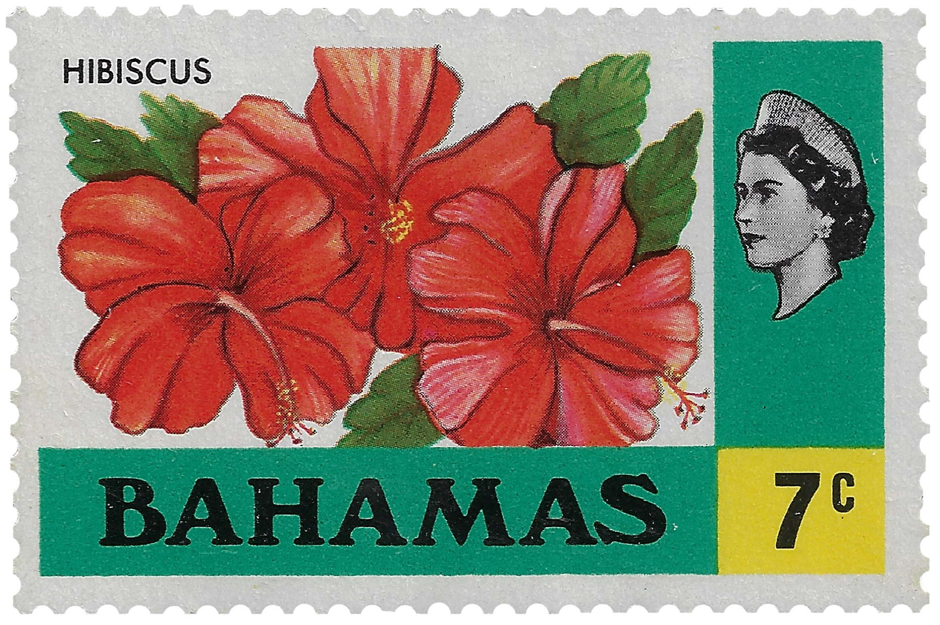 7c 1971, Hibiscus