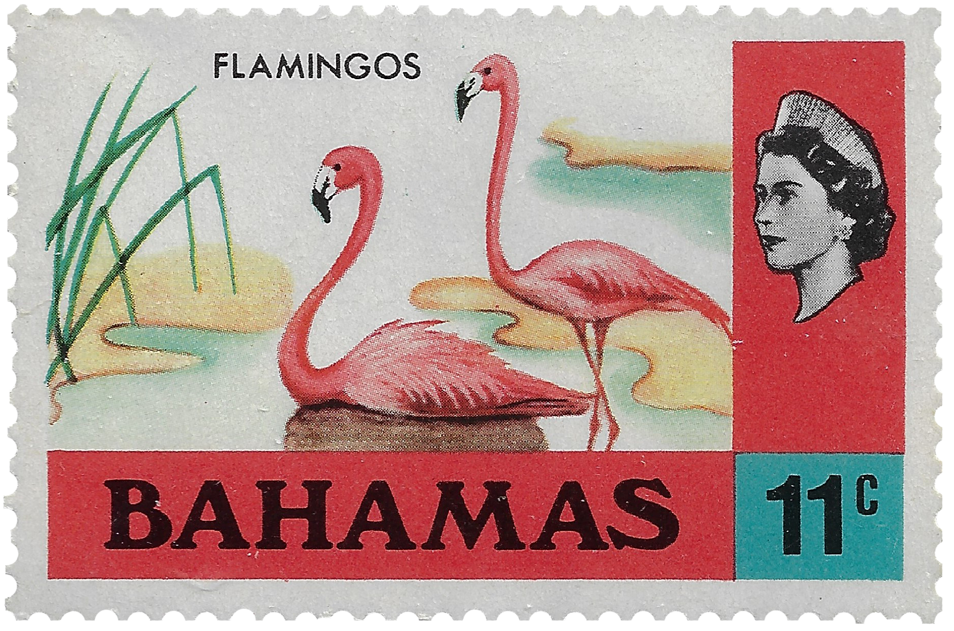 11c 1971, Flamingos