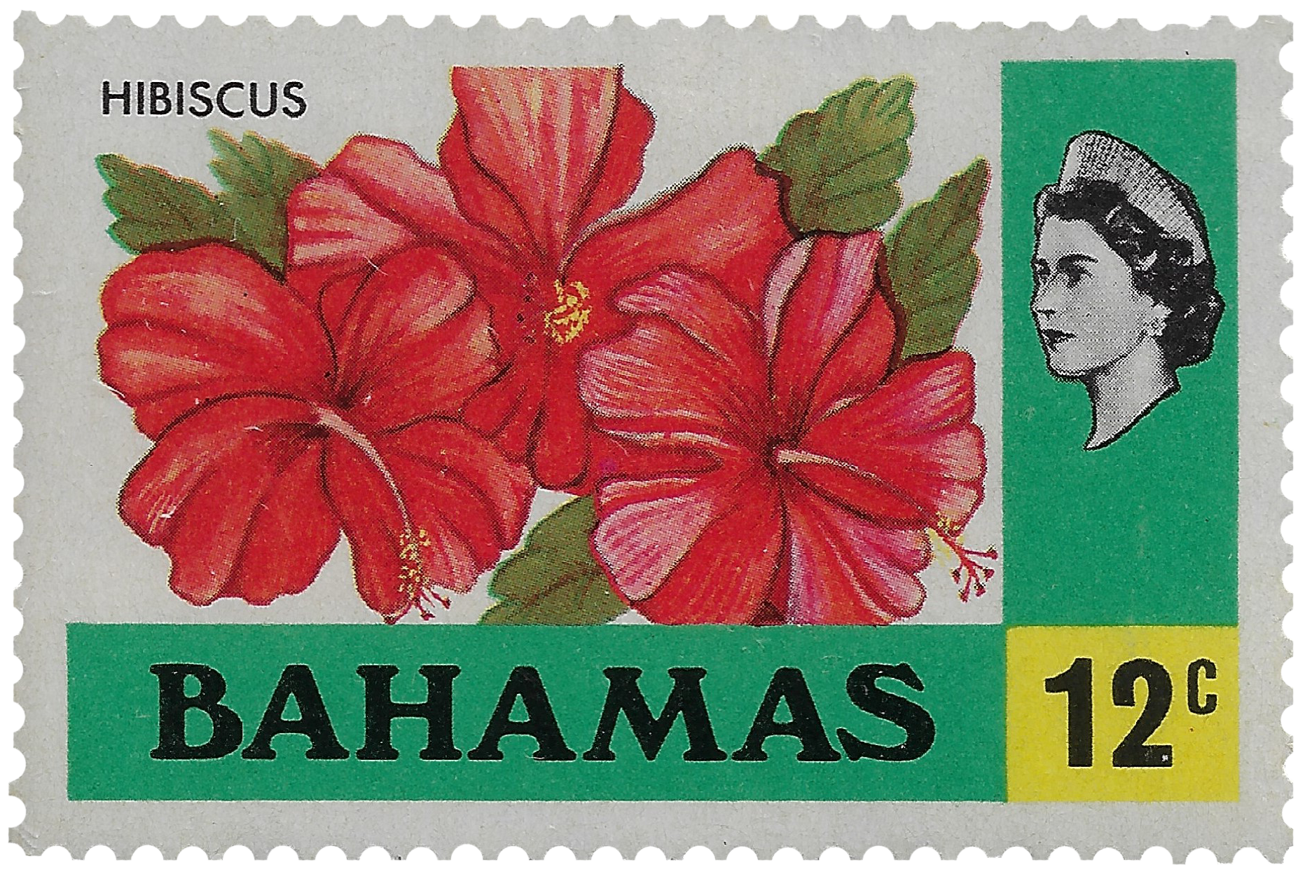 12c 1971, Hibiscus