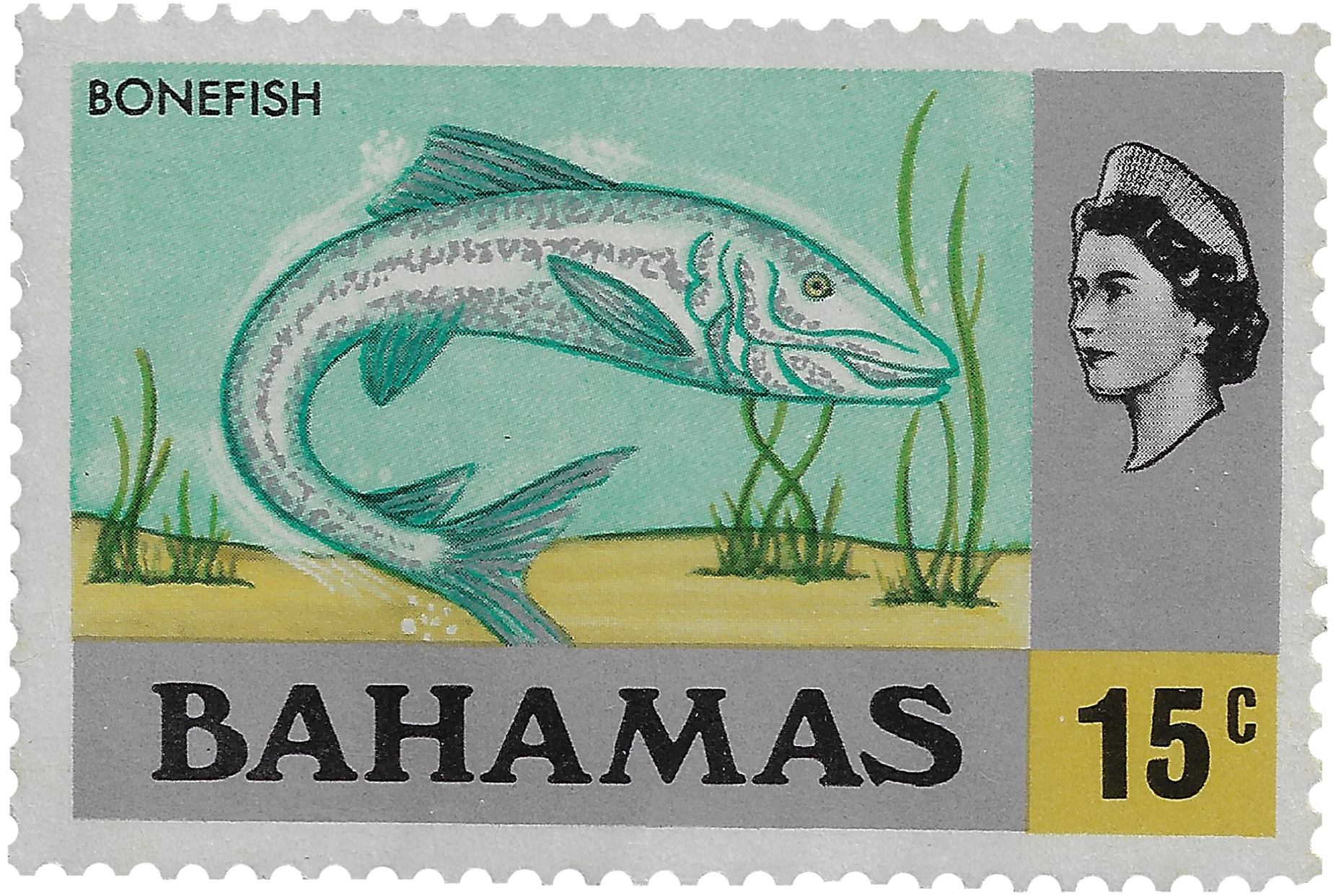 15c 1971, Bonefish