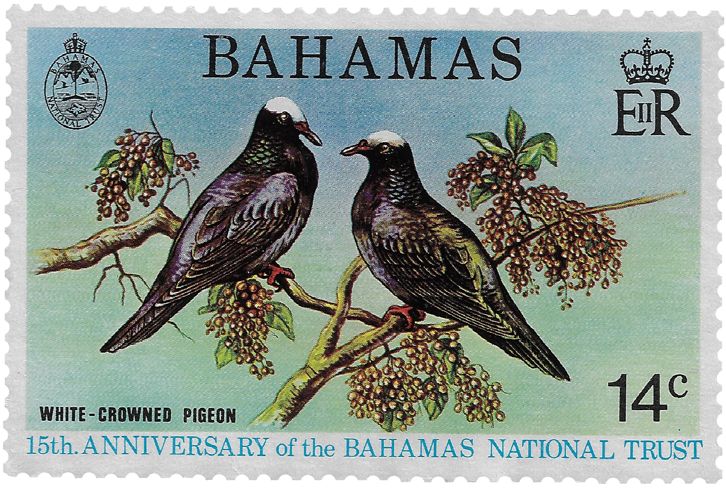14c 1974, White-Crowned Pigeon, 15th Anniversary of the Bahamas National Trust