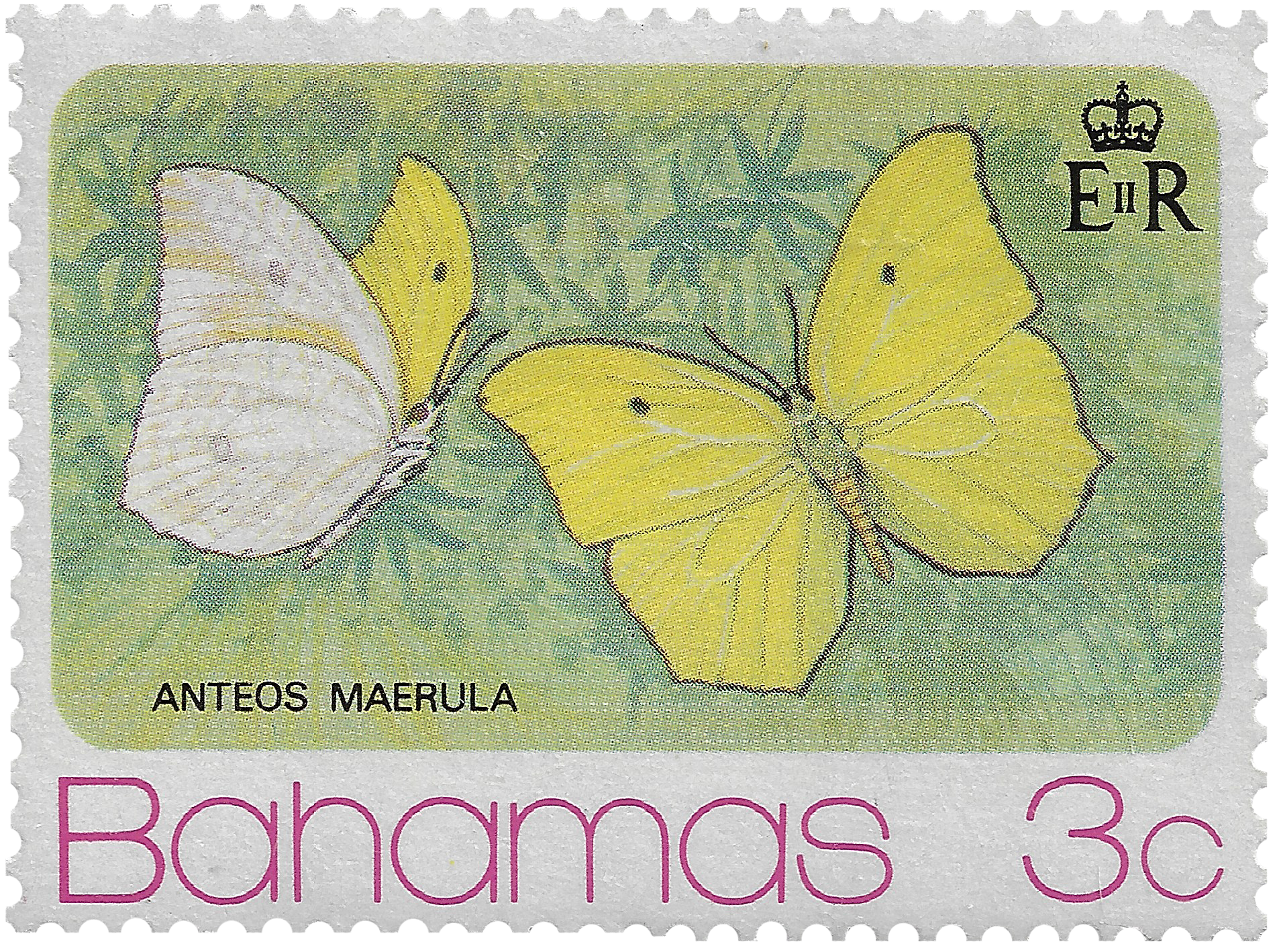 3c 1975, Anteos Maerula, Butterfly