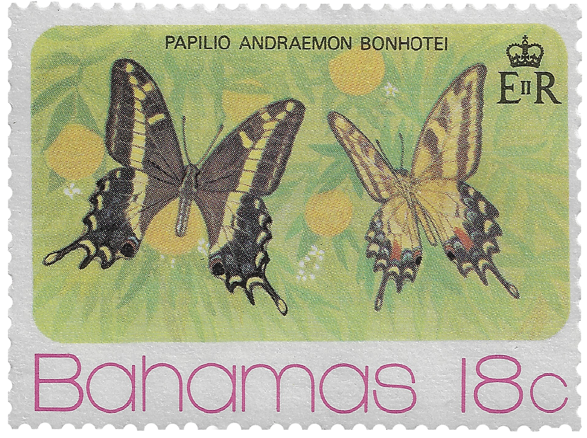 18c 1975, Papilio Andraemon Bonhotei, Butterfly