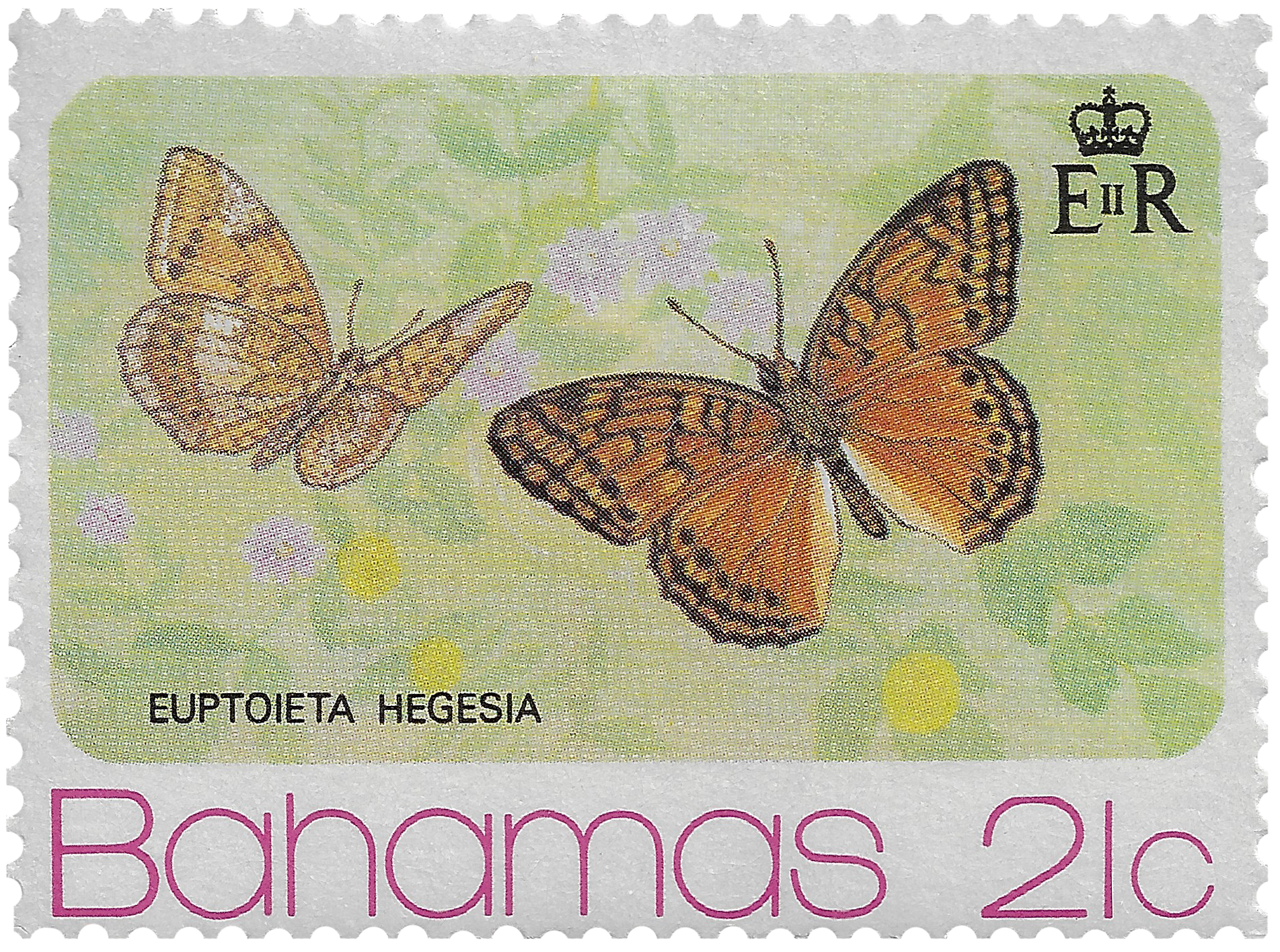 21c 1975, Euptoieta Hegesia, Butterfly