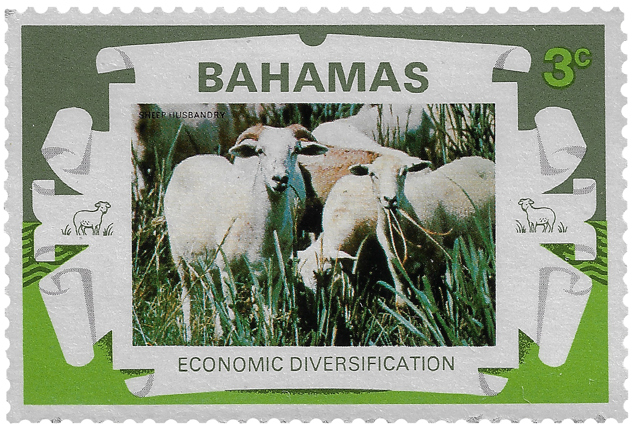 3c 1975, Economic Diversification, Sheep Husbandry