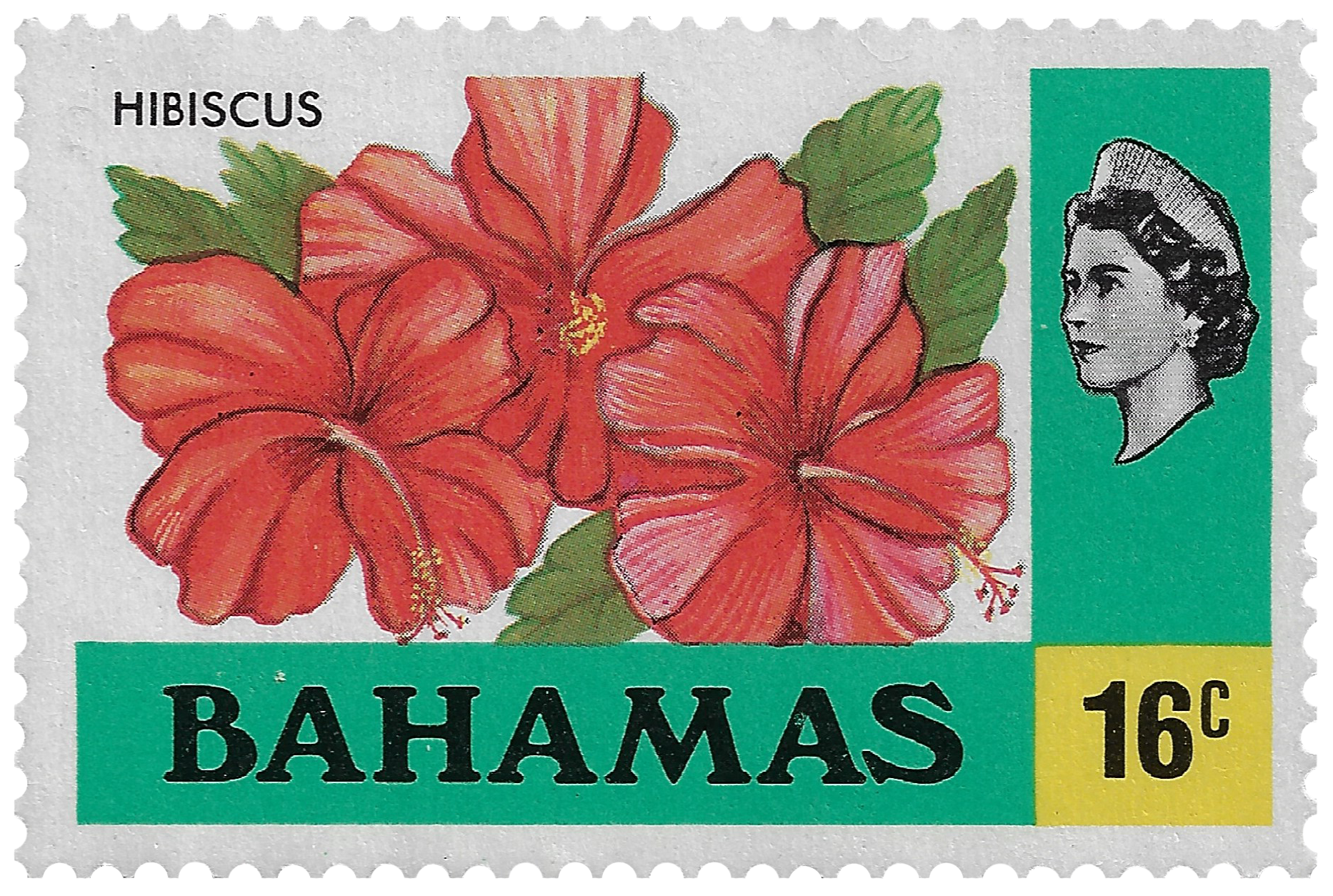 16c 1976, Hibiscus