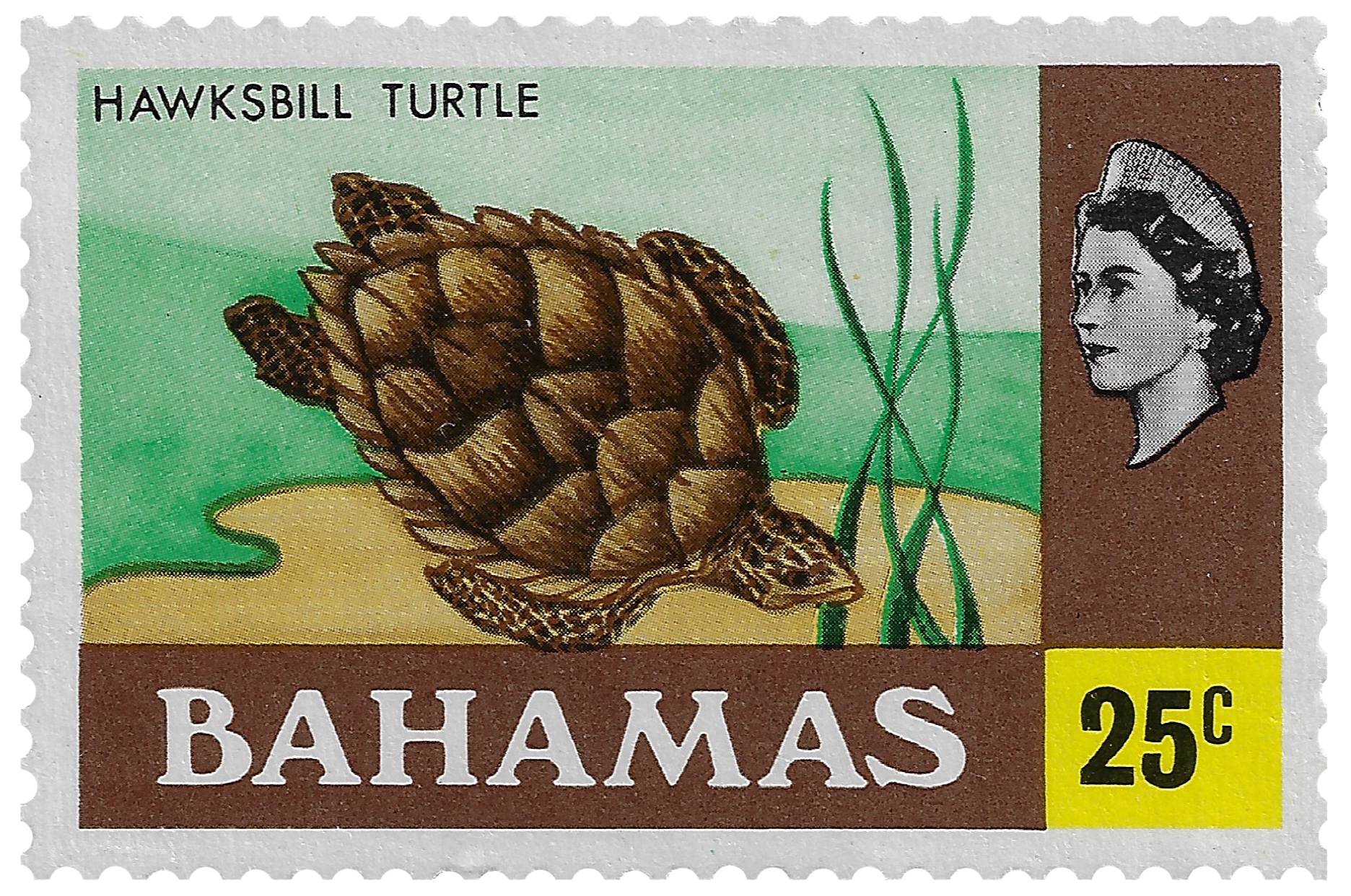 25c 1976, Hawksbill Turtle