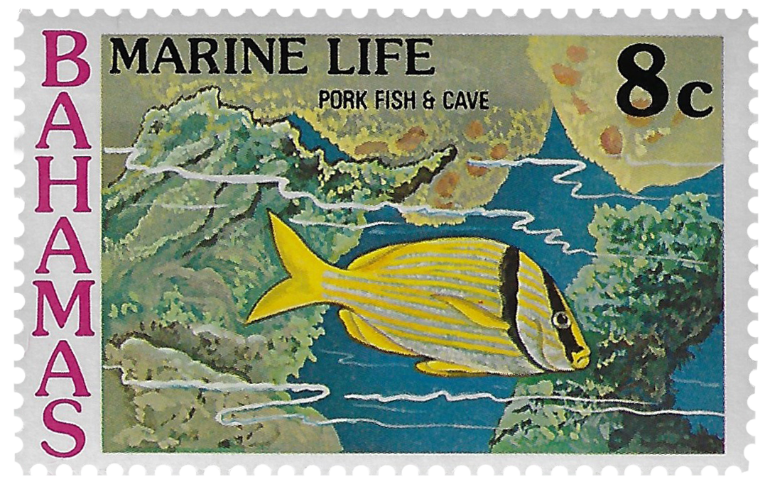 8c 1977, Marine Life, Pork Fish & Cave