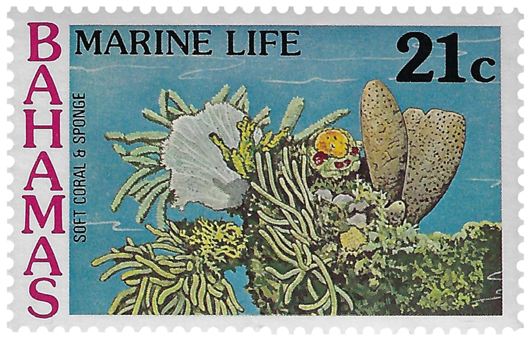 21c 1977, Marine Life, Soft Coral & Sponge