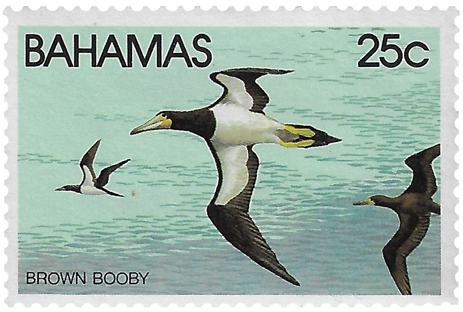 25c Brown Booby