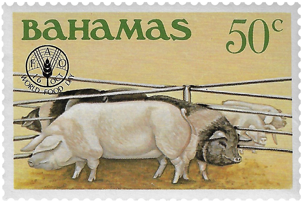 50c 1981, FAO, World Food Day, Pigs