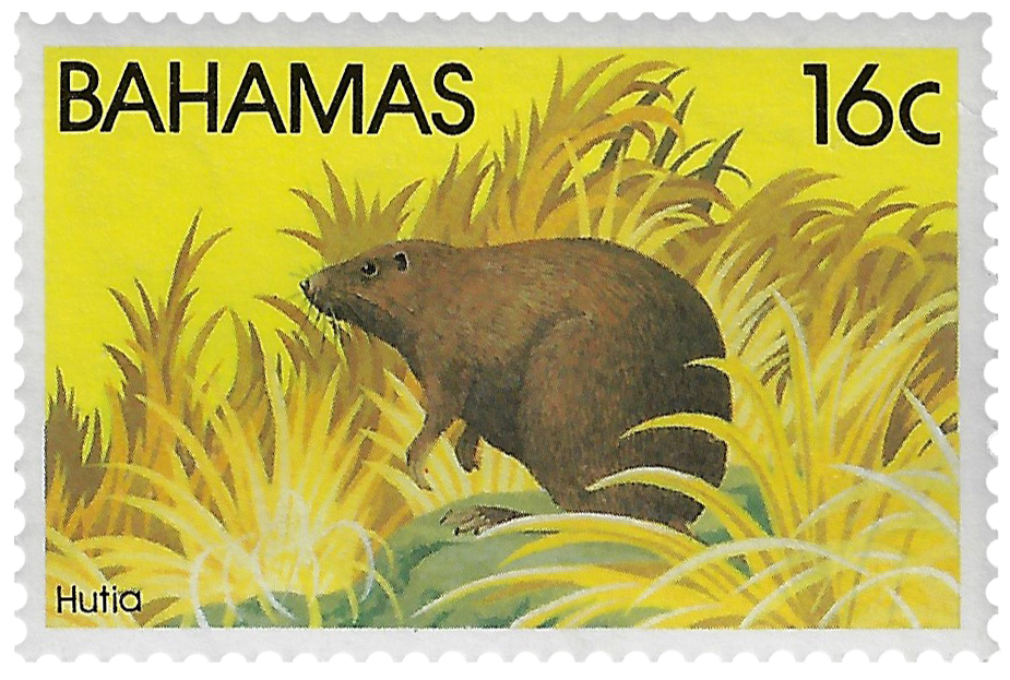 16c 1982, Hutia