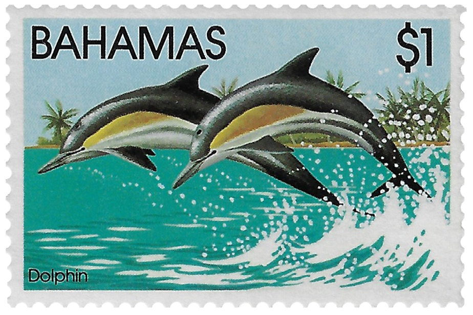 1d 1982, Dolphin