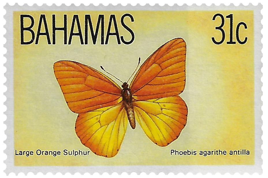 31c 1983, Butterfly, Large Orange Sulphur