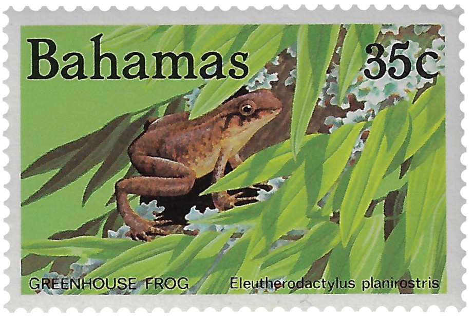 35c 1984, Greenhouse Frog