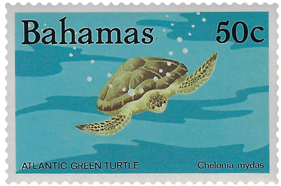 50c 1984, Atlantic Green Turtle
