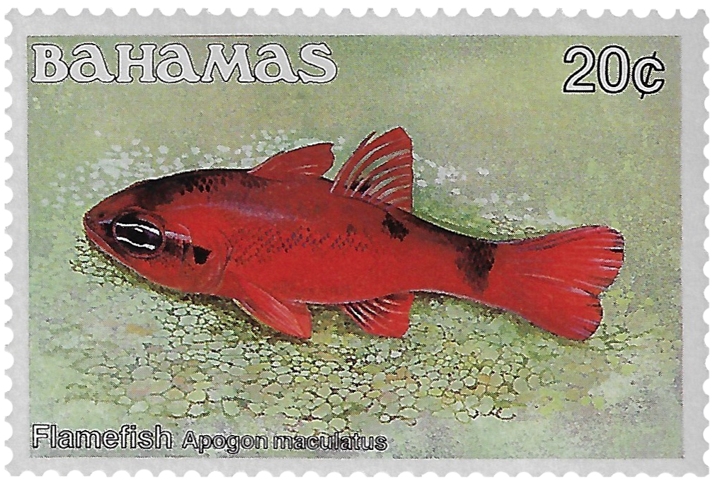 20c 1986-87, Flamefish, Apogon maculatus