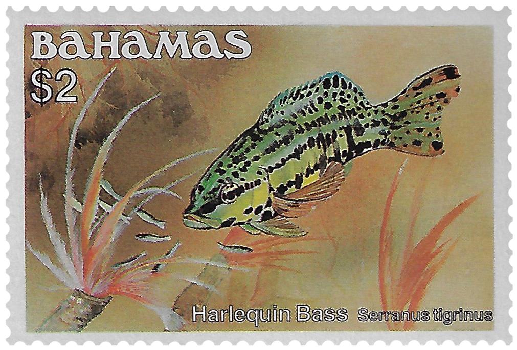 2d 1986-87, Fish, Harlequin Bass