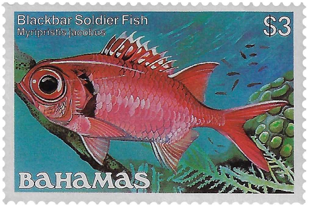 3d 1986-87, Blackbar Soldier Fish, Myripristis jacobus
