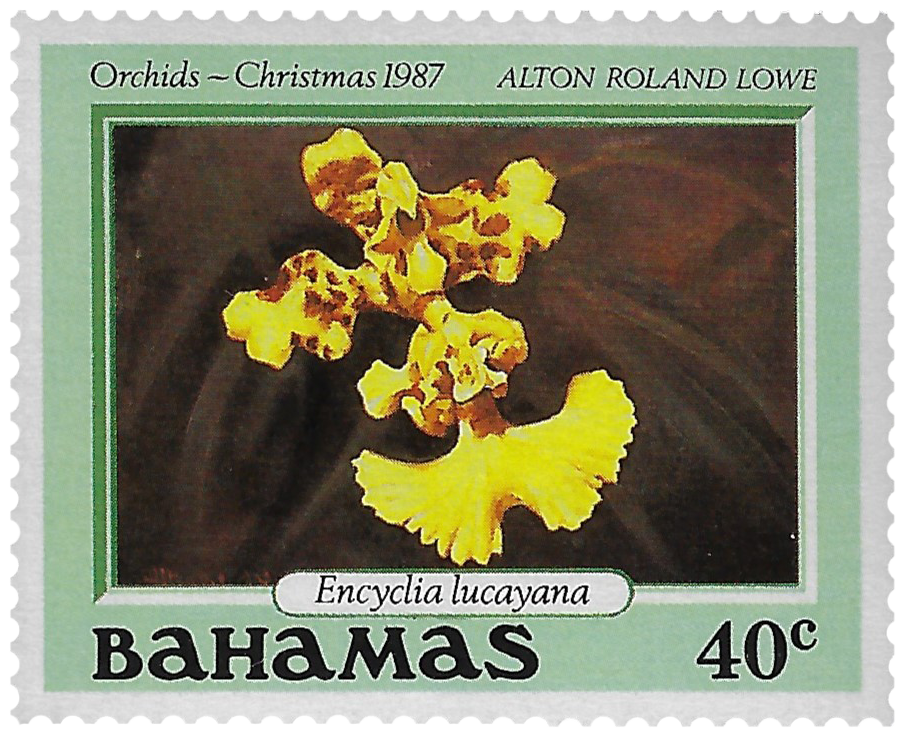 40c 1987, Orchids - Christmas, Encyclia lucayana, Alton Roland Lowe
