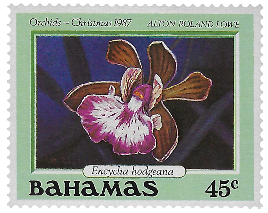 45c 1987, Orchids - Christmas, Encyclia hodgeana, Alton Roland Lowe