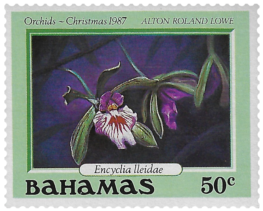 50c 1987, Orchids - Christmas, Encyclia lleidae, Alton Roland Lowe