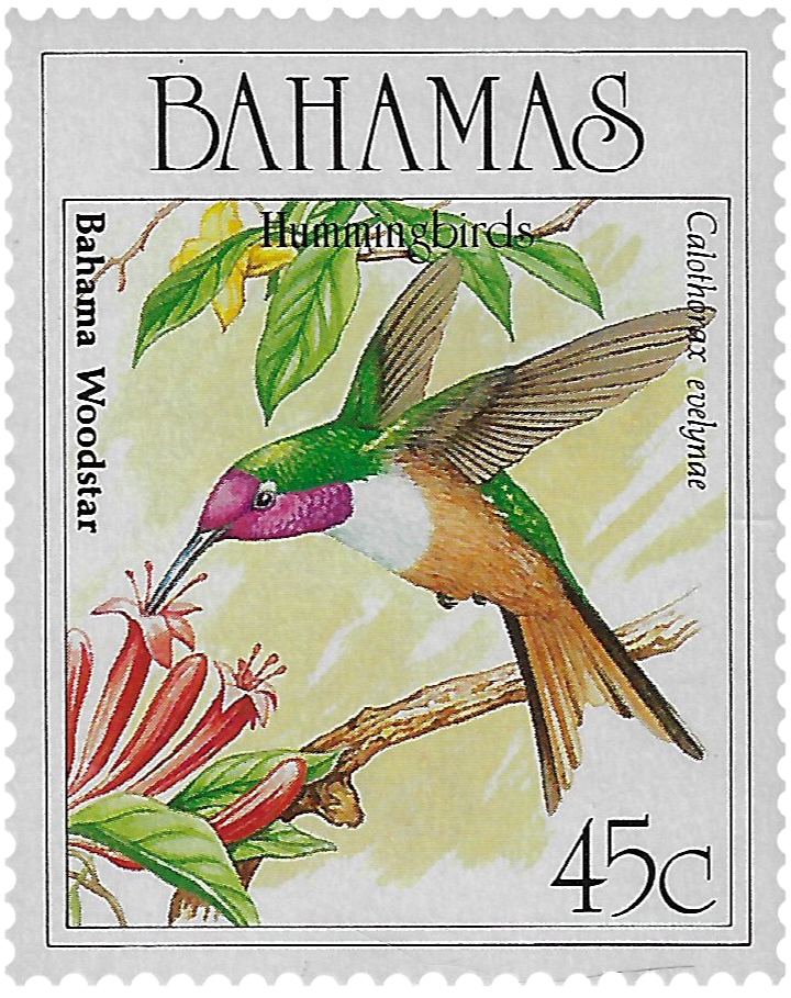 45c 1989, Hummingbirds, Bahama Woodstar