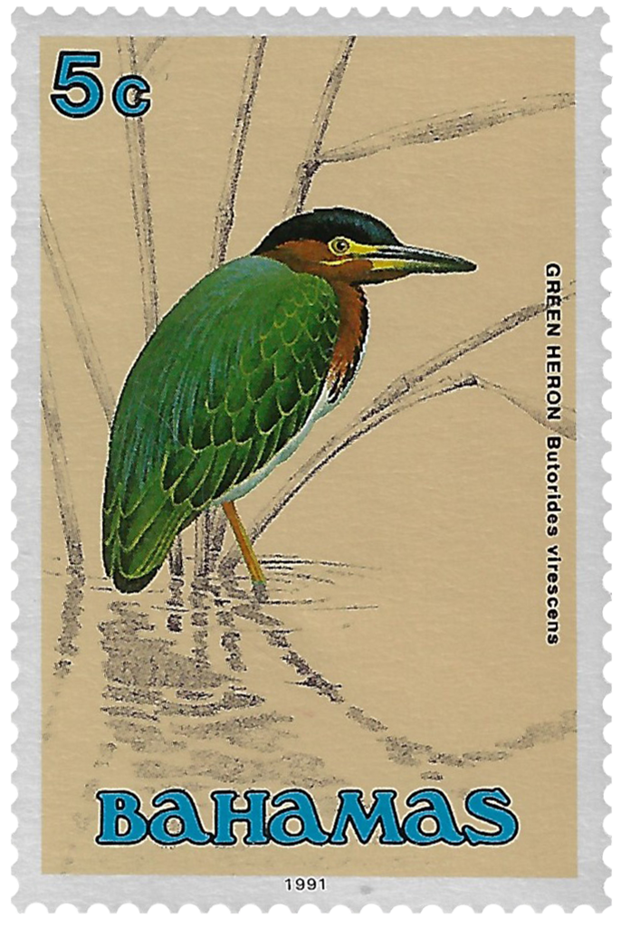 5c Green Heron