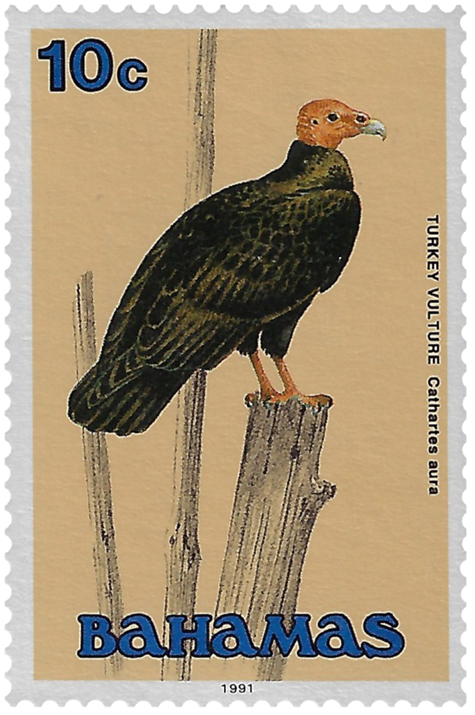 10c Turkey Vulture