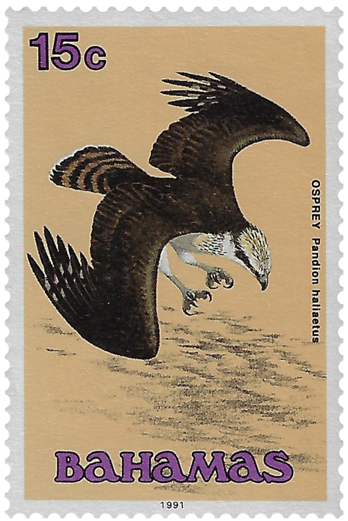 15c 1991, Osprey, Pandion haliaetus