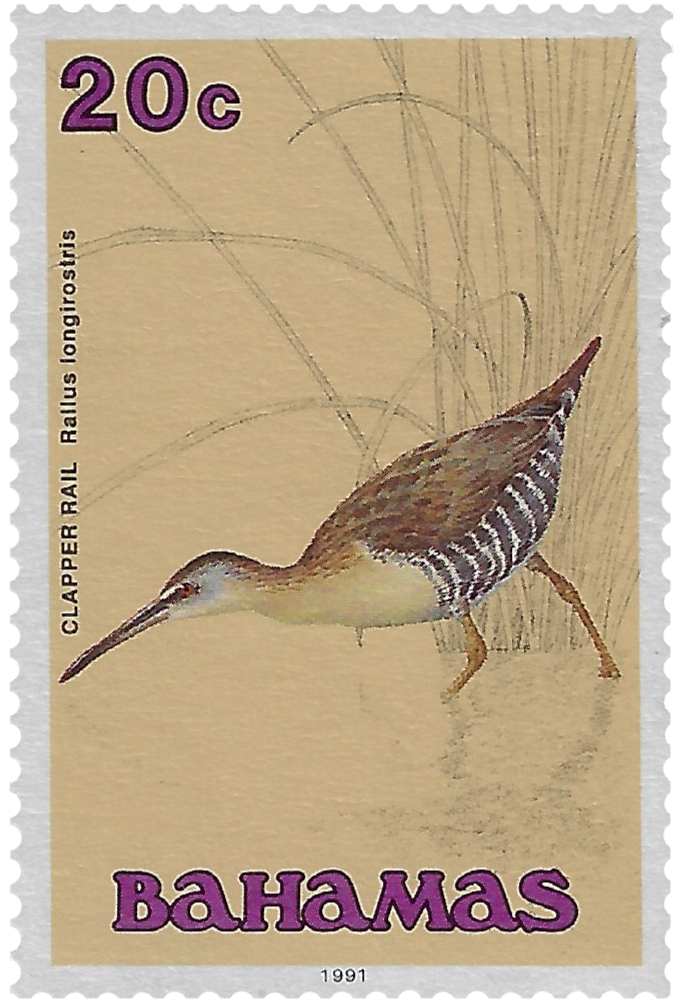 20c 1991, Clapper Rail, Rallus longirostris