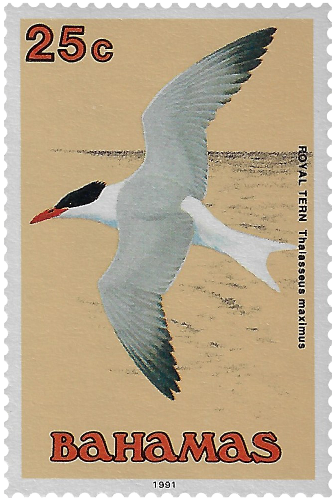 25c 1991, Royal Tern, Thalasseus maximus
