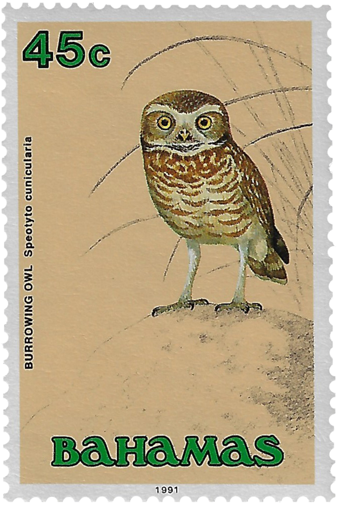 45c 1991, Burrowing Owl, Speotyto cunicularia