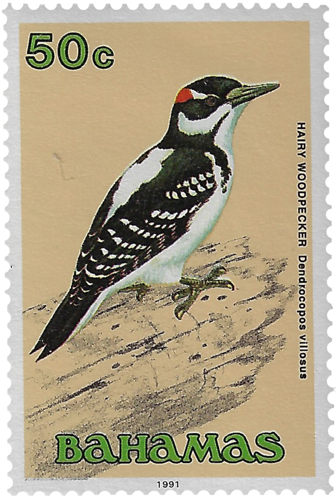 50c 1991, Hairy Woodpecker, Dendrocopos villosus
