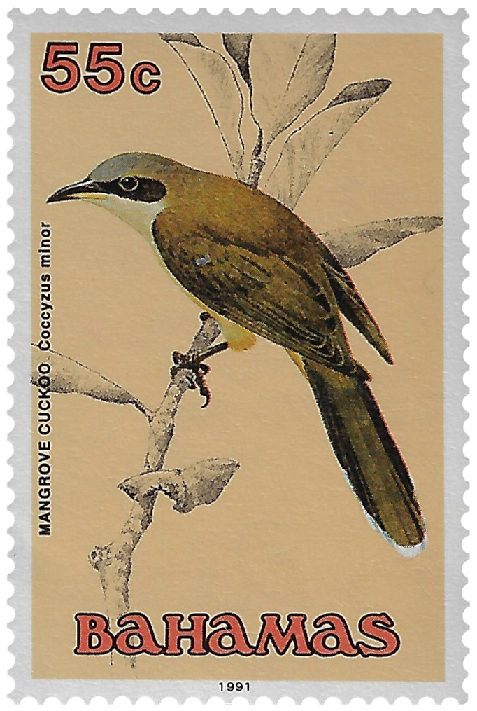 55c 1991, Mangrove Cuckoo, Coccyzus minor