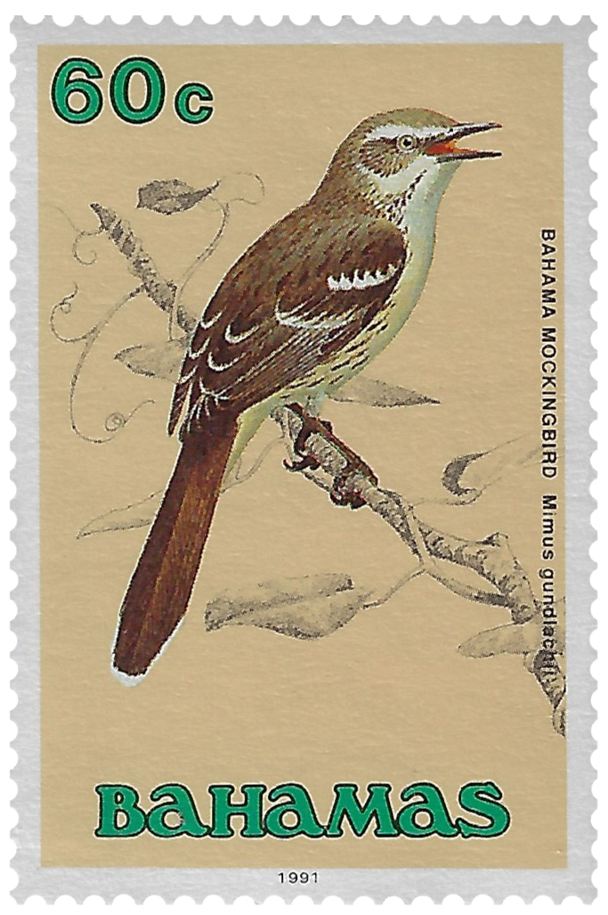 60c 1991, Bahama Mockingbird, Mimus gundlachii