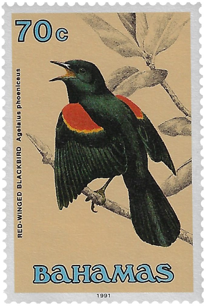70c 1991, Red-Winged Blackbird, Agelaius phoeniceus