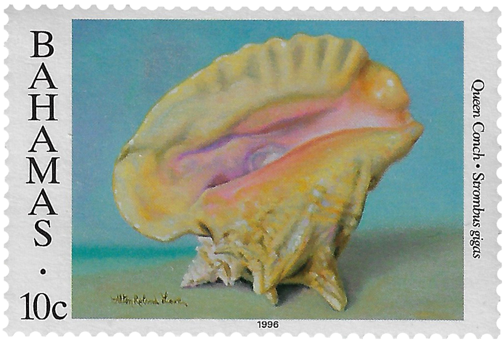 10c 1996, Shells, Queen Conch