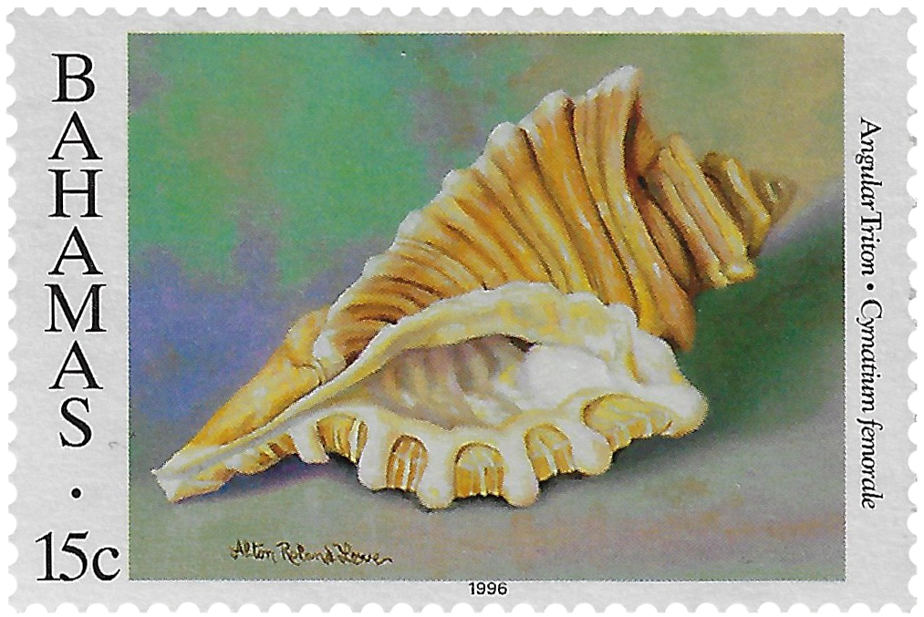 15c 1996, Shells, Angular Triton